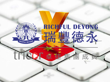 新加坡私人有限公司的優勢