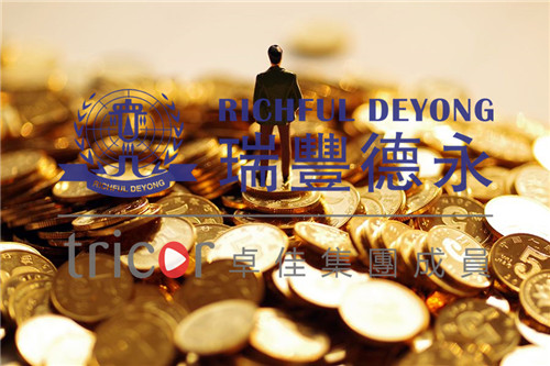 開曼SPC基金的優(yōu)點(diǎn)和缺點(diǎn)